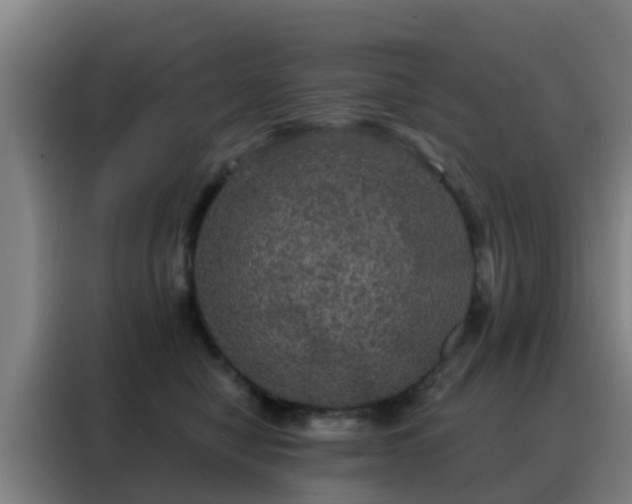 X0000088140470200705211139