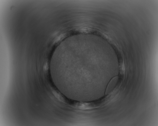 X0000088140472200705211139