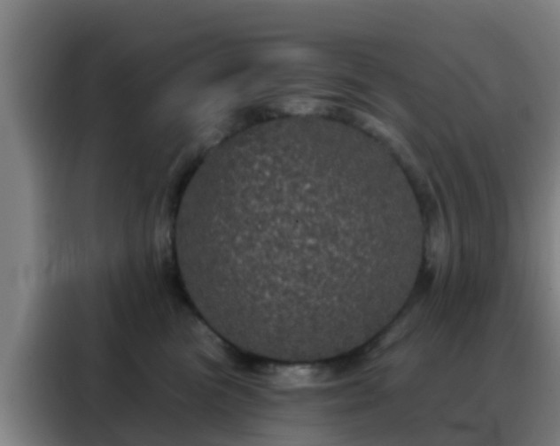 X0000088140473200705211139