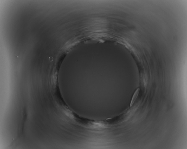 X0000088140475200705211139