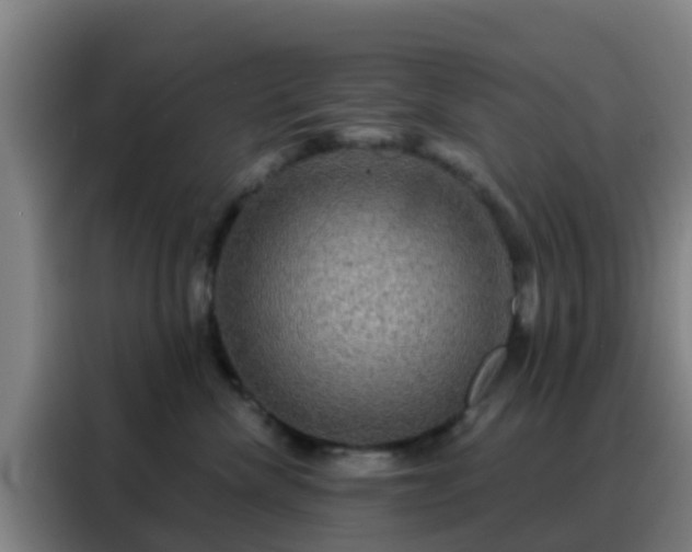 X0000088140476200705211139