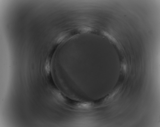 X0000088140479200705211139