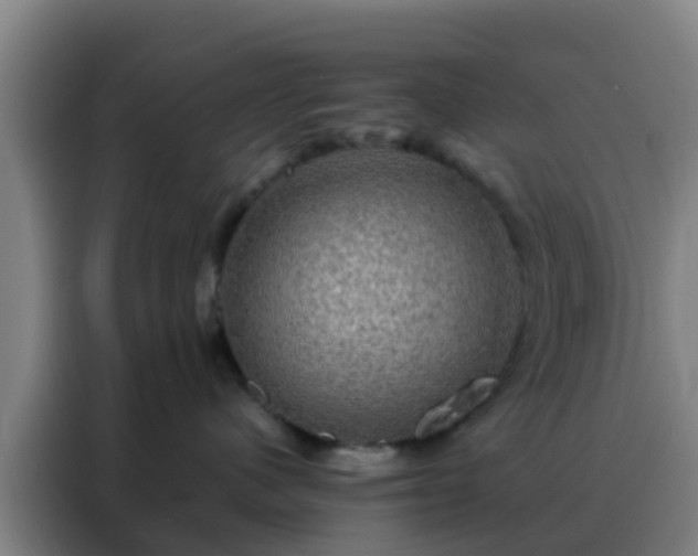 X0000088140480200705211139