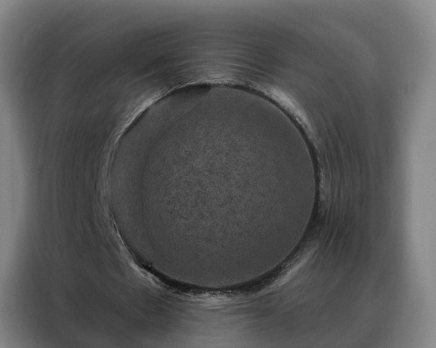 X0000088140481200705211139