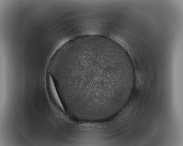 X0000088140482200705211139