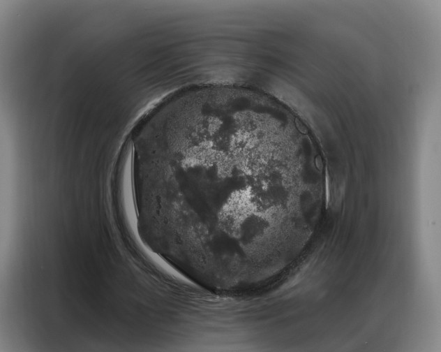 X0000088140483200705211139
