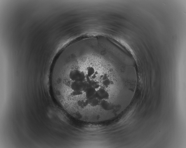 X0000088140487200705211139