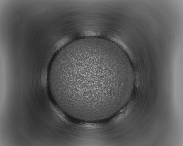 X0000088140490200705211139