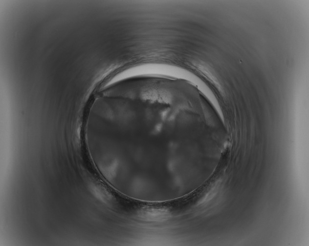 X0000088140491200705211139