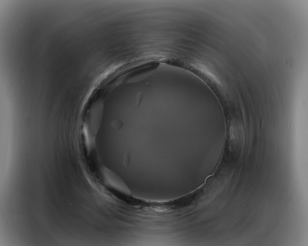 X0000088140492200705211139