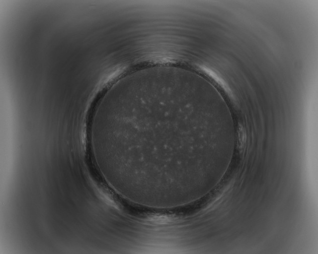 X0000088140494200705211139