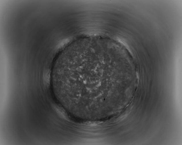 X0000088140495200705211138
