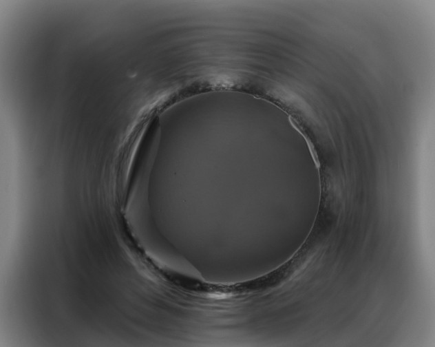 X0000088140496200705211138