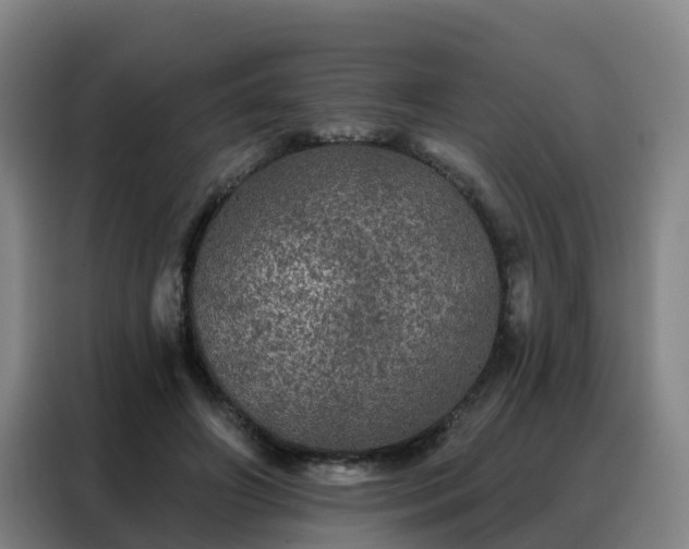 X0000088140498200705211138
