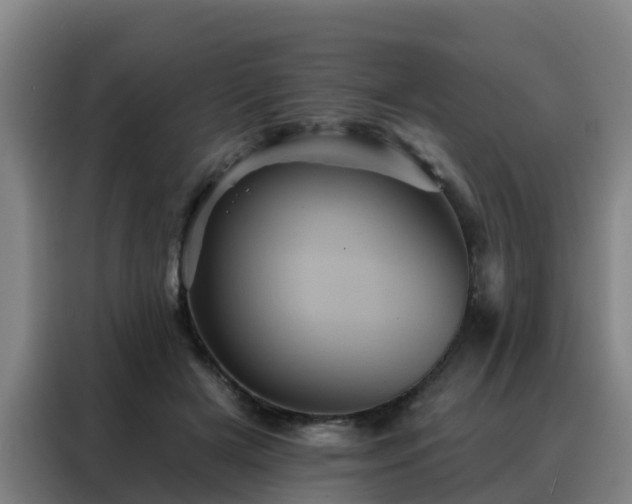 X0000088140505200705211138