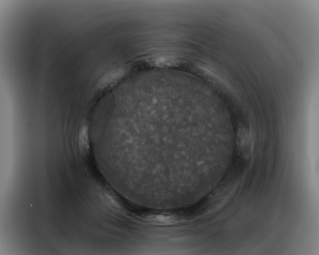 X0000088140506200705211138