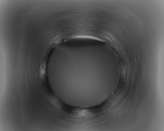 X0000088140507200705211138