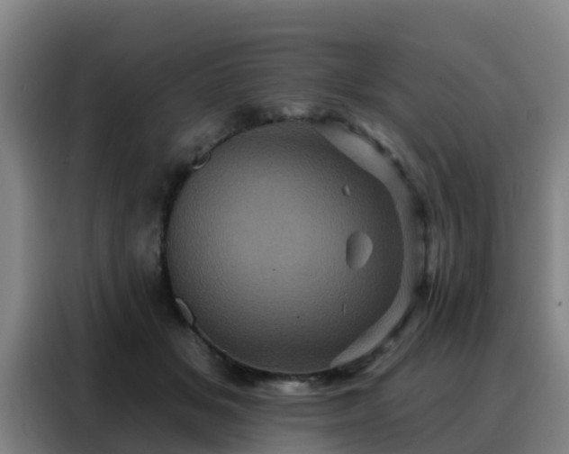 X0000088140509200705211138