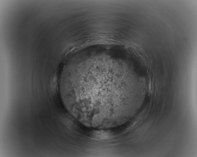 X0000088140511200705211138