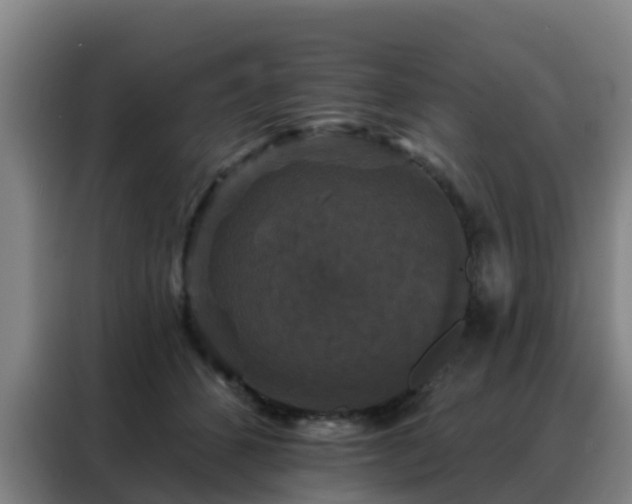 X0000088140512200705211138