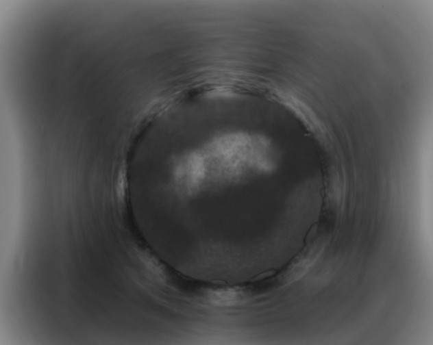 X0000088140513200705211138