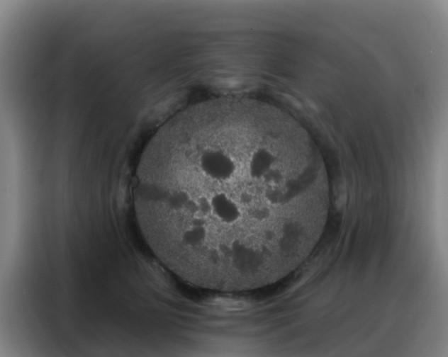 X0000088140515200705211138