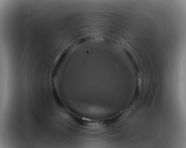 X0000088140516200705211138