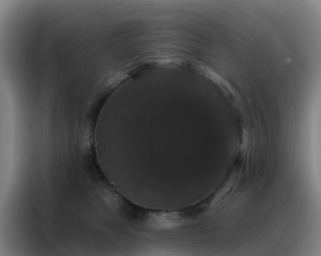X0000088140517200705211138
