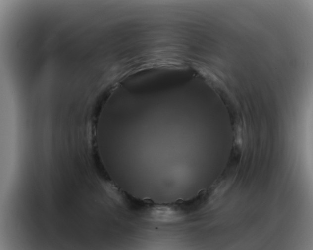 X0000088140519200705211138