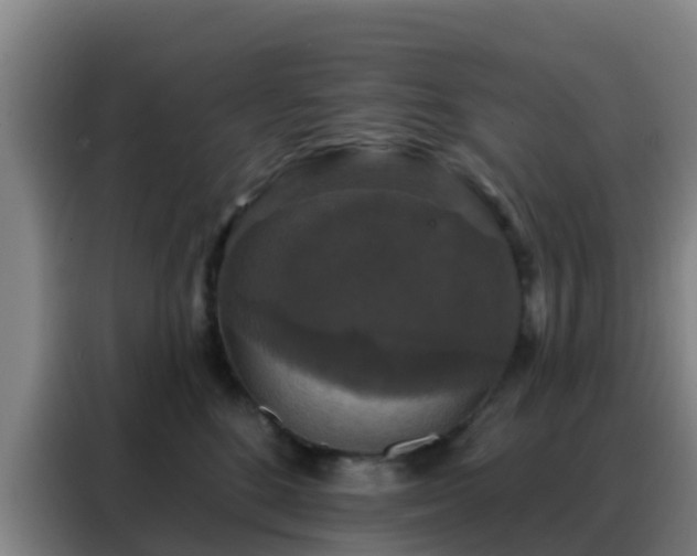 X0000088140520200705211138