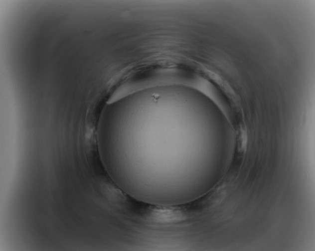 X0000088140521200705211138