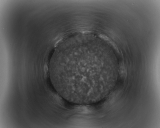 X0000088140523200705211138