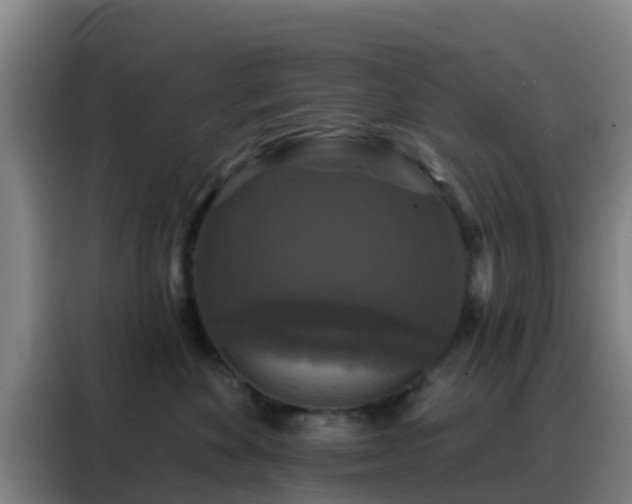 X0000088140524200705211138