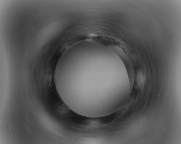 X0000088140525200705211138