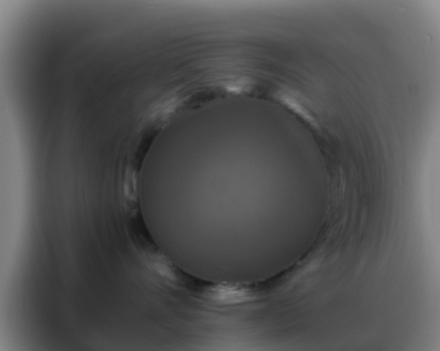 X0000088140528200705211138