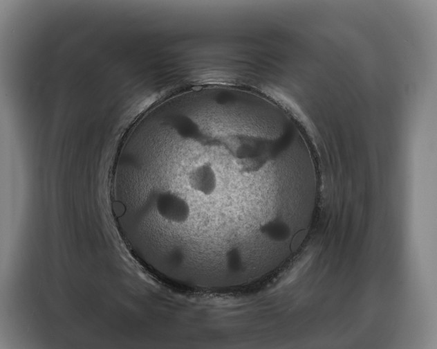 X0000088140529200705211137