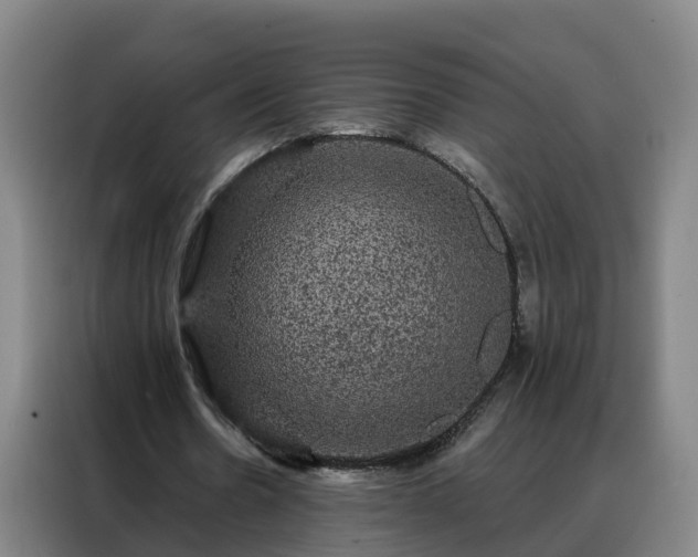 X0000088140530200705211137
