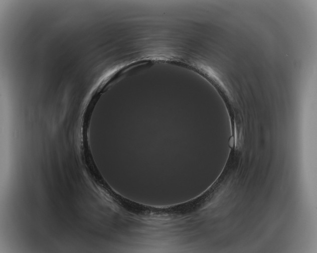 X0000088140531200705211137