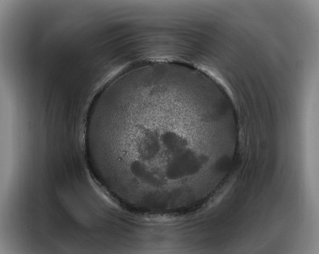 X0000088140533200705211137