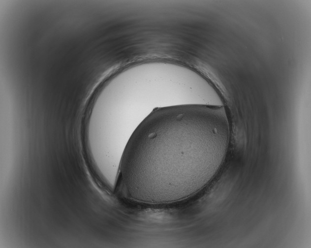 X0000088140534200705211138