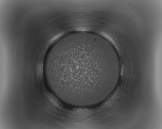 X0000088140535200705211138
