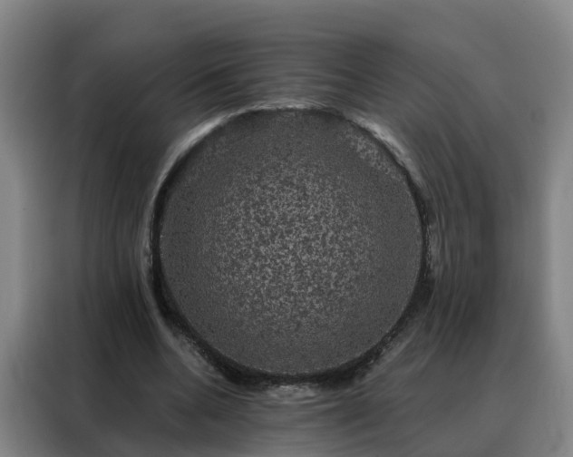 X0000088140536200705211138