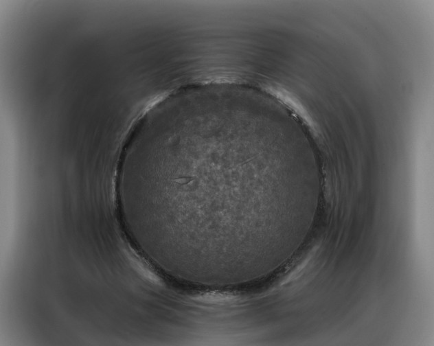 X0000088140537200705211138