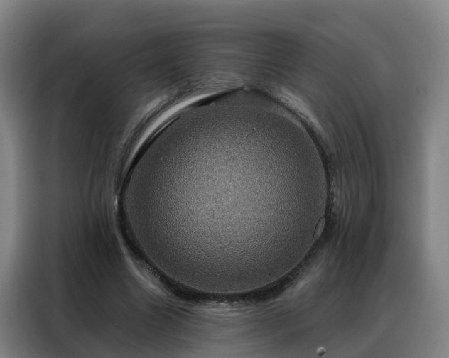 X0000088140538200705211138