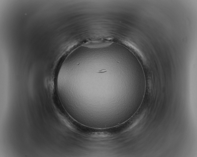 X0000088140541200705211138