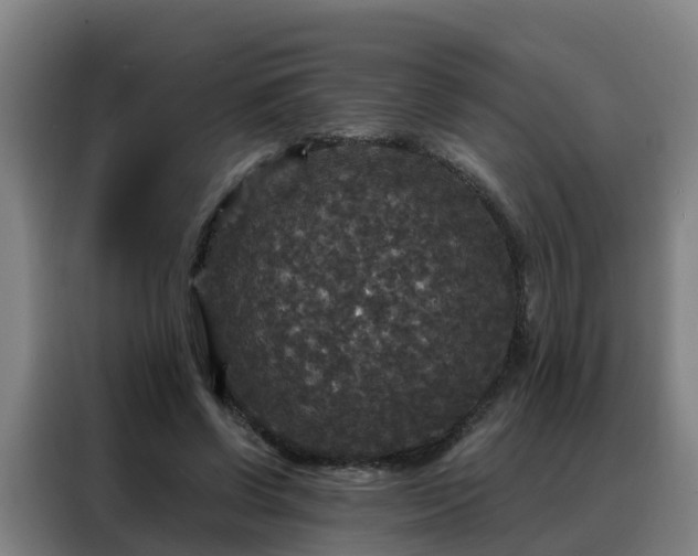 X0000088140542200705211138