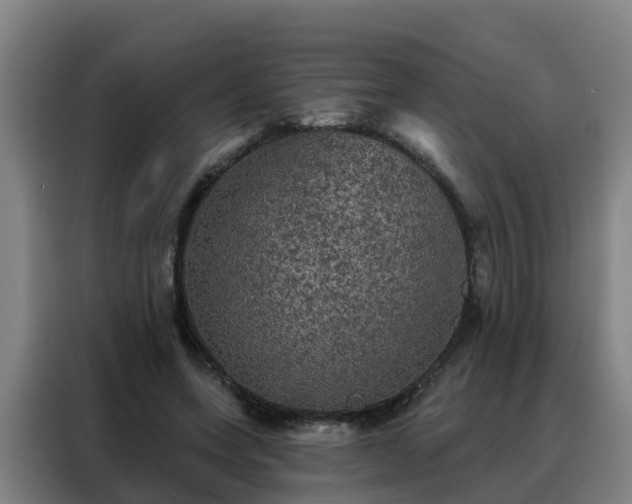 X0000088140543200705211138