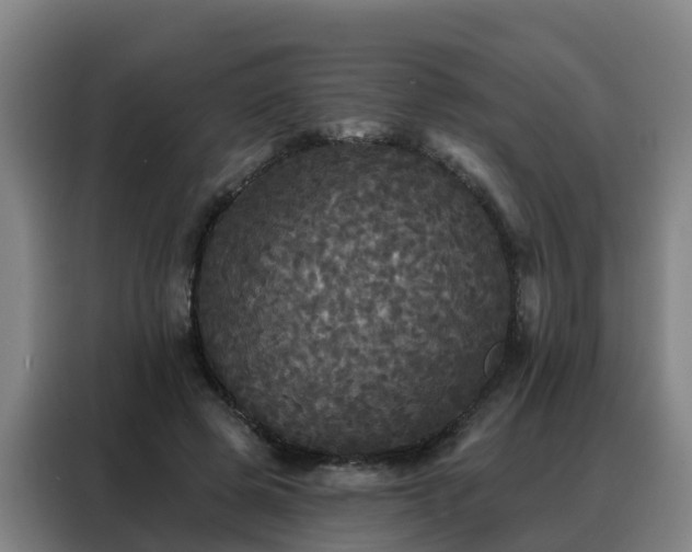 X0000088140545200705211138