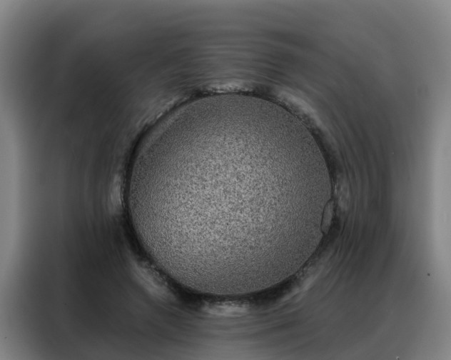 X0000088140546200705211138