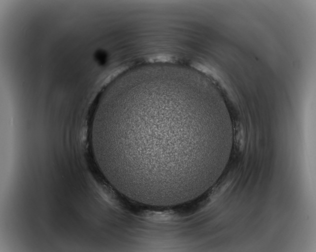 X0000088140548200705211138